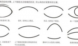 漫画眉毛,漫画眉毛的艺术魅力
